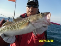 삼척장호항금정호 대구조황.