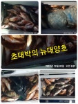 포항 뉴대양호! 볼락열기타작퍼레이드!
