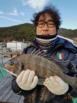 #통영한바다호ㅡ감성돔42흘림 조황(예약가능)