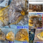 삼천포 올레피싱 쭈꾸미 망태기 빵빵합니다~