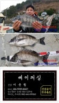 #통영베이피싱#12/30감성돔4짜~~~조황☆