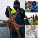 비, 바람속 돌문어~~