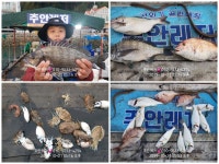 ㅁ통영 주안레저ㅁ 카고,흘림,루어 감성돔 43 힛트