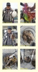 왕도다리와 노래미(낼 예약가)