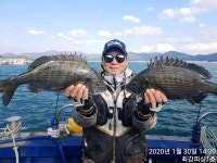 (어초 감성돔흘림 한방 터지고)45,45,농어6짜 참돔 손맛!내일여유자리