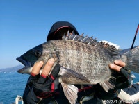 실시간오십삼어로시작합니다ㅡ내일예약가능