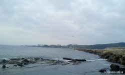 양포 방파제 (7/4 벵에돔&농어 조황) 바다상황 입니다.