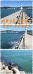 9월9일 바람속 장생포 등대방파제 입니다
