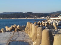 감포 앞바다 날씨와 조황정보.....