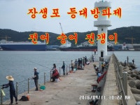 11일 울산 장생포 등대방파제 복지회관앞 조황