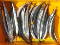 양포 방파제낚시입니다.( 새해 첫날은 부진했습니다. )