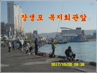 10월25일 울산시 남구 장생포 복지회관앞 고딩 조황