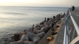 감포 앞바다 날씨와 조황정보