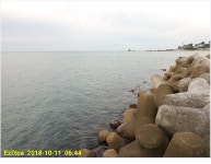 감포바다 기상 및 조황정보 (무늬 오징어)