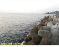 감포바다 기상 및 조황정보 (무늬 오징어)