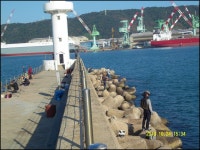 24일 울산시 남구 장생포