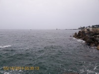 감포바다 기상 및 조황정보(벵에돔)