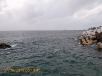 감포바다 기상 및 조황정보(벵에돔)