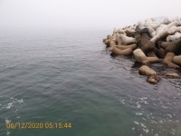 감포바다 기상 및 조황정보(낱마리벵에돔,성대)