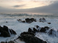 감포바다 기상 및 조황정보