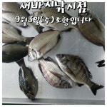 9월3일(수)새바지낚시점조황입니다