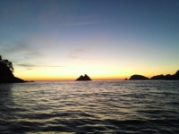 새해 복 많이 받으시고...대박을 기원합니다.