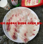 오늘 사량권 출조전원100% 손맛 만끽