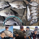 12/17~18(주말) 추자피싱랜드 조황