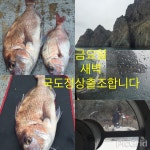 국도주말까지 논스톱으로 달립니다