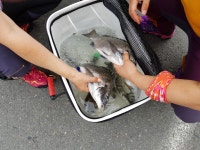 사천25시낚시입니다