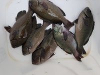 사천25시낚시입니다