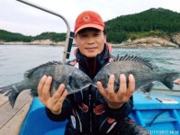 17일(금요일) 다랑도권 마릿수 "감성돔" 조황~!!! 17일(금요일) 다랑도권 마릿수 '감성돔' 조황~!!!