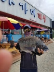 서해 감성돔조황~!