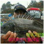 남해)이벤트팡팡4짜급들테크늄~(대구고인돌낚시) 남해)이벤트팡팡4짜급들테크늄~(대구고인돌낚시)