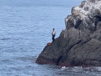 점차 살아나는 갯바위 긴꼬리벵에돔 조황!