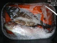 만수로 조황 올려 드립니다!