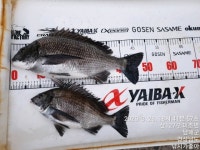 만수로 조황 올려 드립니다!