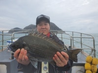 상태도 겨울 대물 감성돔 시즌 임박!!!!