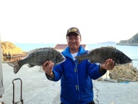 상태도 겨울 대물 감성돔 시즌 임박!!!!