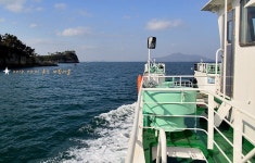 추도- 대항마을