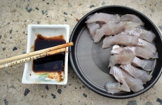 추도- 대항마을