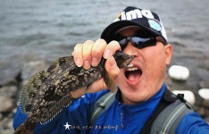 추도- 대항마을