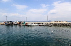 추도- 대항마을