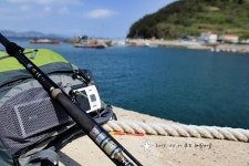 추도- 대항마을