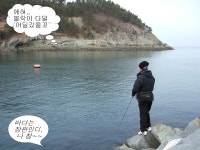 백포
