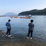 욕지도 무늬오징어 낚시여행 인터넷바다낚시 - 대한민국 바다낚시 포탈사이트