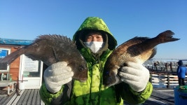 송정낚시터 겨울철 손맛 조황입니다 인터넷바다낚시 - 대한민국 바다낚시 포탈사이트