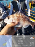 ♥통영 중화 낚시터 인터넷바다낚시 - 대한민국 바다낚시 포탈사이트