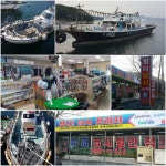 구산면 메가리숭어 고등어 조황