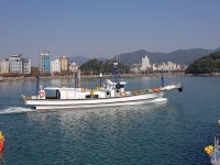 (오로라피싱)갑오징어,쭈꾸미,문어 출조 나갑니다. 인터넷바다낚시 - 대한민국 바다낚시 포탈사이트